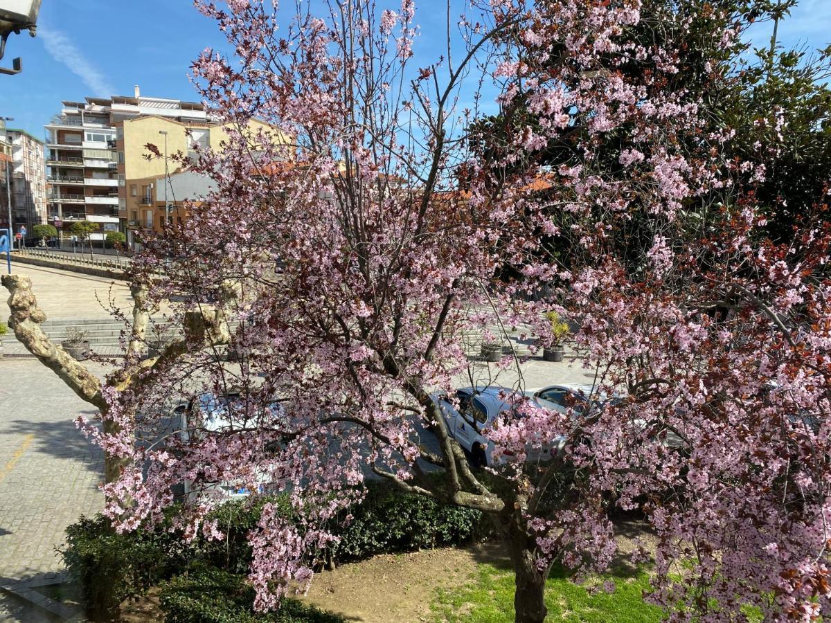 Apartamento Dacosta プラセンシア エクステリア 写真